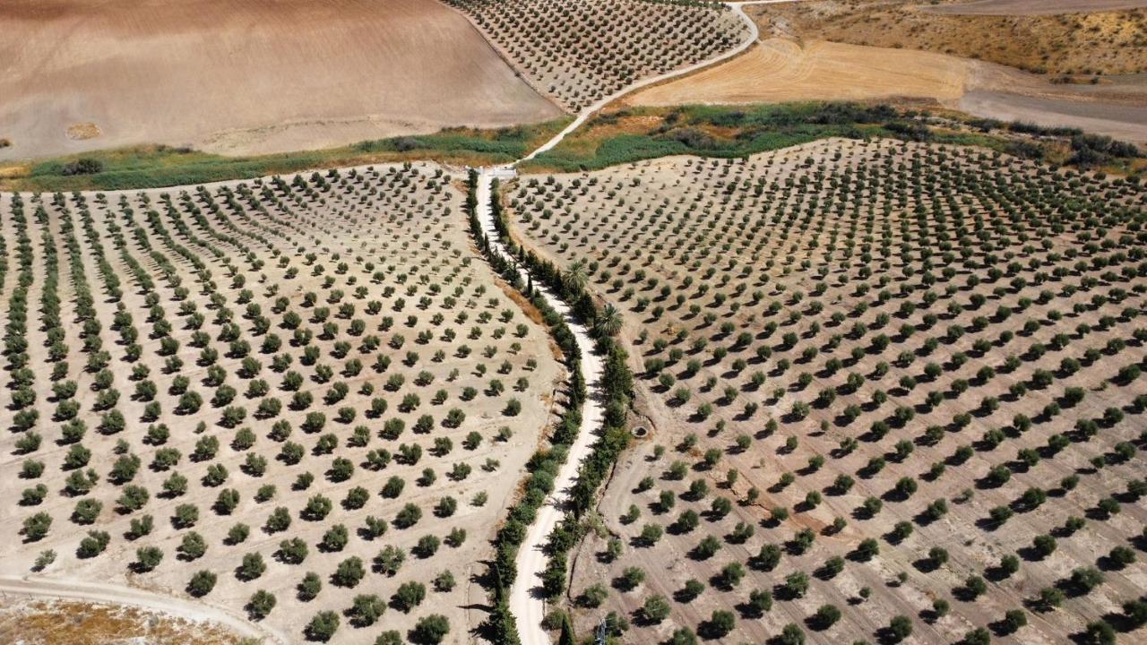 Cortijo Donana Vila La Puebla de Cazalla Exterior foto
